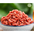 hot sale goji price